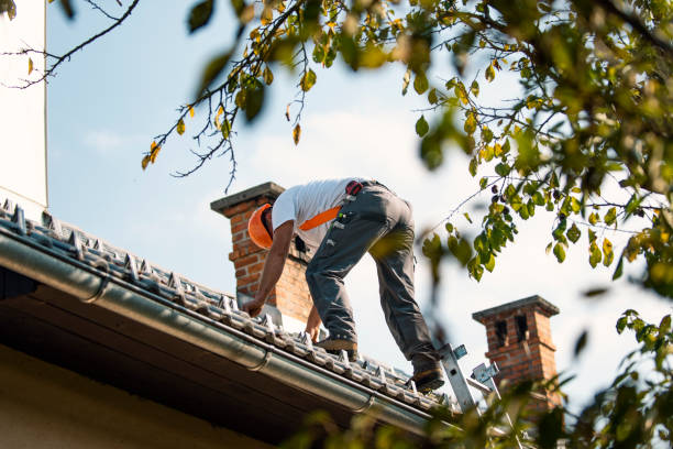 Best Best Roofing Contractors  in Kingsford, MI