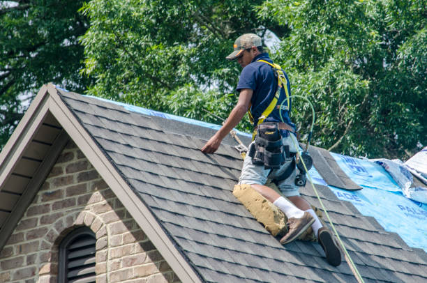Best Storm Damage Roof Repair  in Kingsford, MI